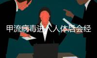 甲流病毒进入人体后会经历什么？