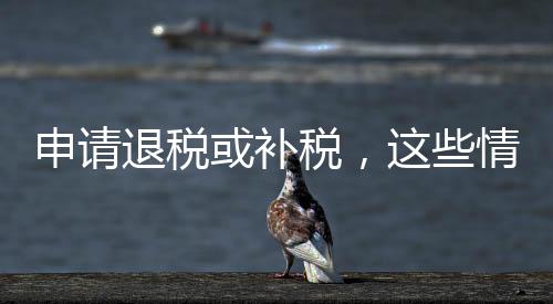 况需也有一些人需要办理补税