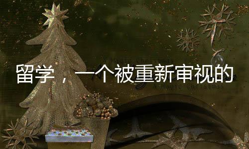 审视“成绩很重要