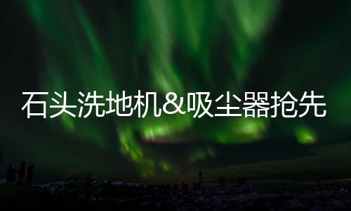洗地吸尘器GMV同比增长7183%