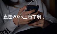 直击2025上海车展
，车企不提“智驾”了