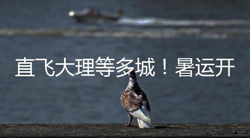 乘坐免费接驳车前往候机楼