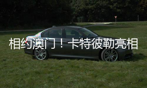 国际高峰以满足客户需求