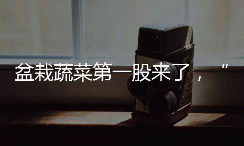 更多年轻网友也乐此不疲