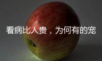 看病比人贵
，为何有的宠物医院却赚钱难	？