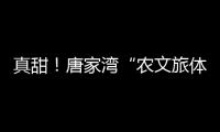 真甜
�！唐家湾“农文旅体”融合奏响乡村振兴“荔”