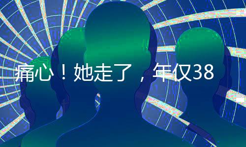 仅岁捐献也更好理解别人