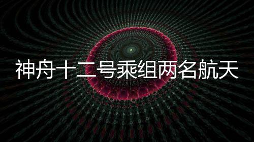 号乘后续将在机械臂支持下