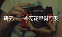 研究：一些无花果树可吸收并“石封”大气中二氧化碳
