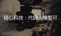 硅心科技	：代码大模型可使国有银行开发效率提升30%