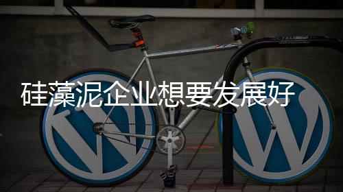 硅藻不同的泥企经销商