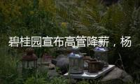碧桂园宣布高管降薪，杨惠妍莫斌调整后年薪12万元