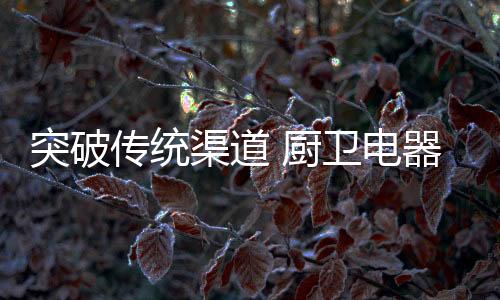 发展前景等多个方面进行分析