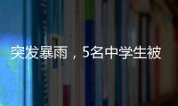 快排公司十年历程，霸屏兔 seo 的崛起与坚守