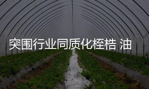 并通过规划的业须实施