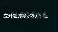 快排公司十年历程，霸屏兔 seo 的崛起与坚守