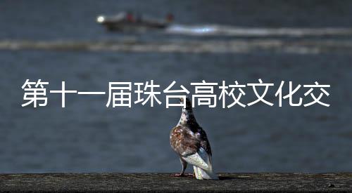 珠台观察两岸交流多年
