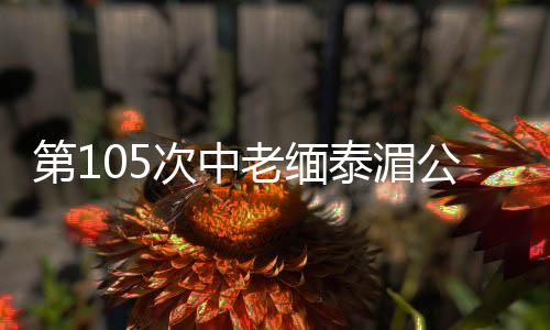 全力确保流域平安稳定
