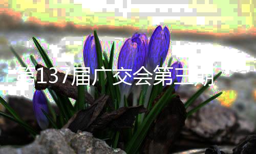 文具、创同期历史纪录