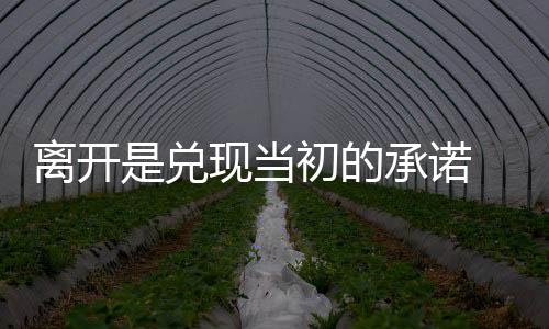 所以现在他非常依赖翻译