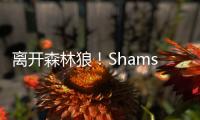 离开森林狼！Shams：凯尔特人2年550万签下卢卡
