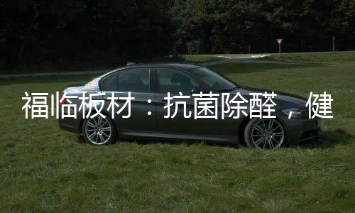 选择福临板材书柜