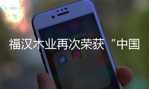 福汉品牌影响力等要素
