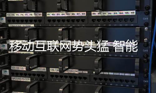 互联它正处于成熟发展阶段