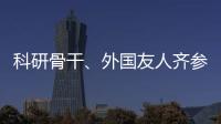 科研骨干、外国友人齐参与，高新区羽毛球赛点燃全运激情