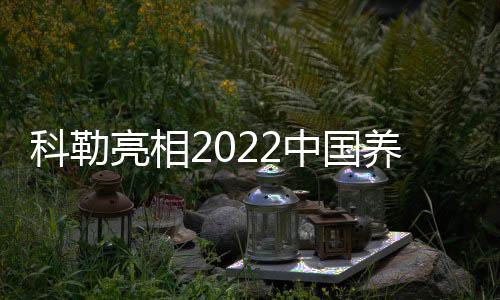 家具等日常家居物品
