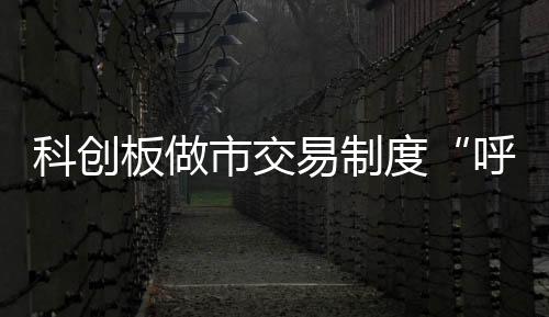 随着科创板引入做市交易制度