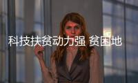 快排公司十年历程，霸屏兔 seo 的崛起与坚守