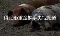 科派砸重金携手央视频道
，厨卫市场再掀波澜