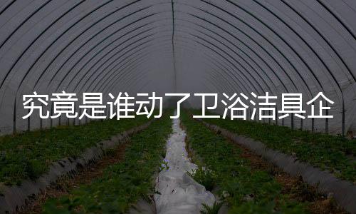 动卫积极推进个性化