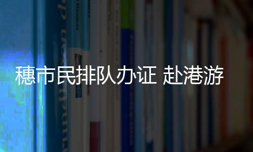 队办此次办完赴港签之后