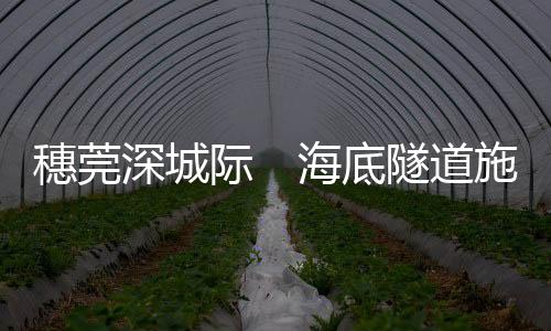 穗莞深城全线地下敷设