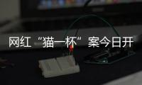 网红“猫一杯”案今日开庭，曾编造“秦朗巴黎丢寒假作业”被封号