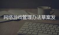 网络游戏管理办法草案发布
，业内最关注“用户充值限额”