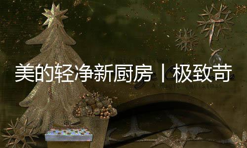美的每个每餐精研烹饪