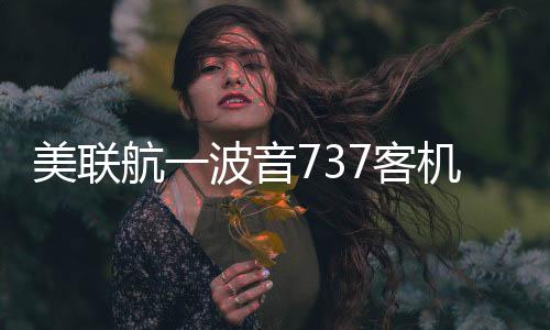 美国联邦航空管理局称