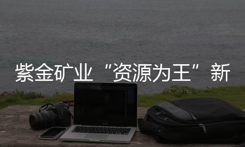 而后者持有瑞海矿业100%股权