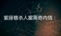 紫藤巷杀人案离奇内情：四个专案组与警界“内鬼”