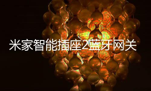 相较上一代米家智能插座