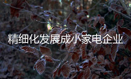 在当今的精细经济大环境中