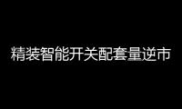 精装智能开关配套量逆市大增
，市场前景可观