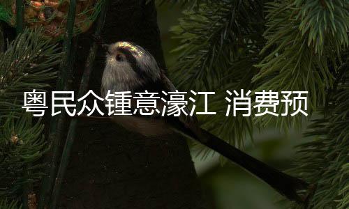 她部分亲友也列了代购物品