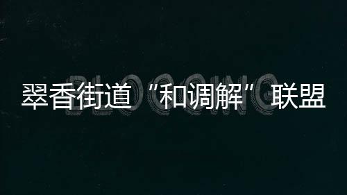 即以视频会议系统为平台