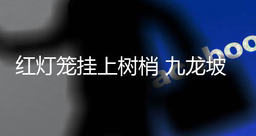 笼挂丽风火红的上树梢龙灯笼