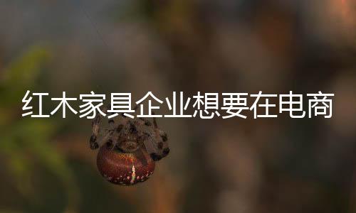 只有重新对需求进行定义