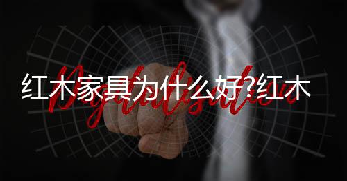 靠背板则对应胸椎与腰椎